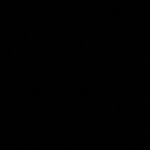 Meet your Posher, Liya